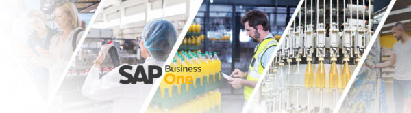 SAP Business One Best ERP For Food & Beverages Industry | I-toss